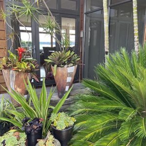 GARDEN 7 GARDEN 7